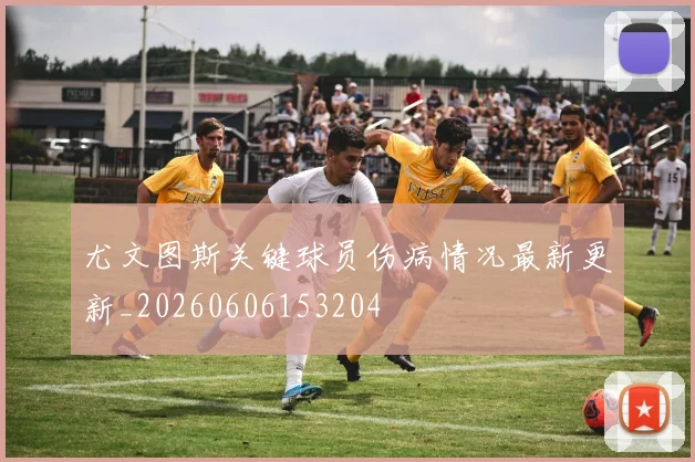 尤文图斯关键球员伤病情况最新更新_20260606153204